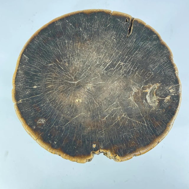 African Early 20th Century Old Tonga Stool MATTER COLLECTION For Sale - Image 3 of 7