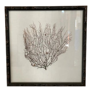 Espresso Frame With Ivory Linen Fan Coral Prints From Barclay Butera For Sale