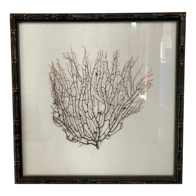 Espresso Frame With Ivory Linen Fan Coral Prints From Barclay Butera For Sale