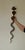 A remarkable pair of brass wall sconces in the Egyptian Revival style featuring a striking single cobra design. This...