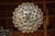 1950s Murano Chandelier by Venini For Sale In Los Angeles - Image 6 of 7