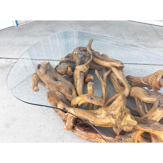 1960s Mid-Century Modern Driftwood Coffee Table With Freeform Glass Top For Sale - Image 10 of 15