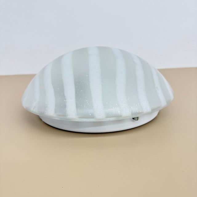 Glass Zebra Flush Mount from Peil & Putzler, Germany, 1970s For Sale - Image 17 of 18
