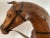 You'll be carried away by this gallant vintage wooden steed, in excellent condition. Notice all the lovely details,...