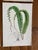 Charming Set of 7 Authentic 19th Century Color Botanical Prints Unframed For Sale - Image 4 of 9