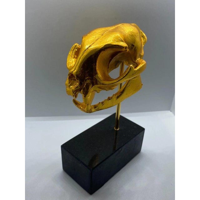 Metal Golden Cat Skull Desk Sculpture on Black Marble Base For Sale - Image 7 of 11