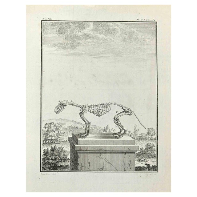 Louis Legrand, Skeleton, Etching, 1771 For Sale
