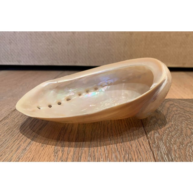 Vintage abalone shell decorative bowl. Made in the Mid 20th Century.