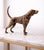 Enhance your home décor with this elegant antique-style dog sculpture, beautifully crafted from real metal and finished in...
