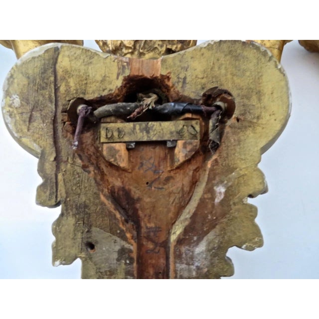 19thc French Louis XV Carved & Gilt Wood Putto/ Cherub Double Wall Sconces Electrified a - Pair For Sale - Image 12 of 13