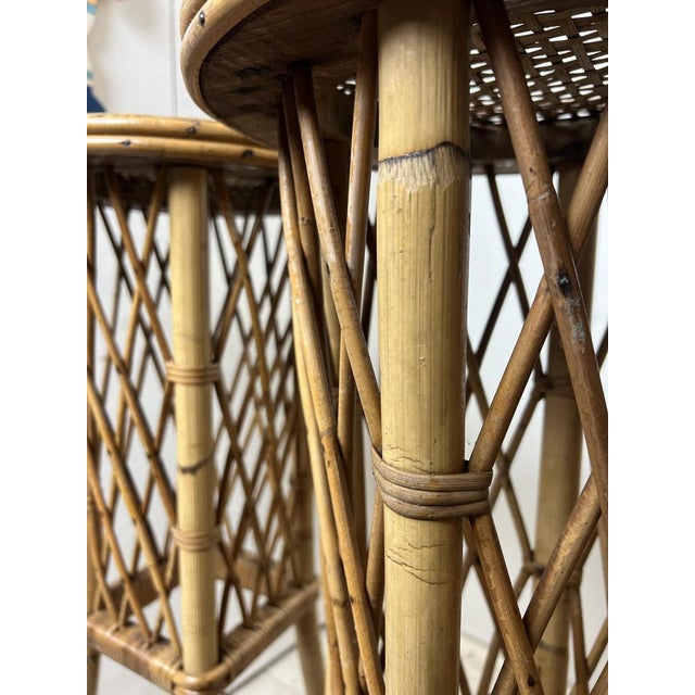 Mid-Century French Rattan and Bamboo Plant Stands, Set of 2 For Sale - Image 11 of 18