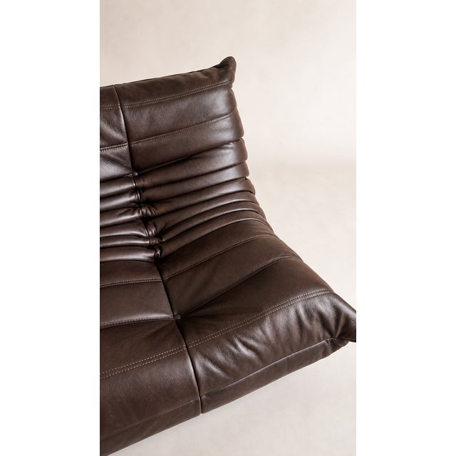 Ligne Roset Togo Sofa in Brown Leather from Ligne Roset, 2023 For Sale - Image 4 of 8