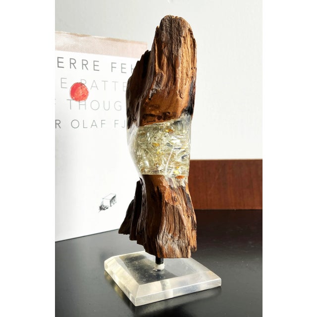 Mid 20th Century Vintage Mid Century Wood & Lucite Organic Modern Table Sculpture For Sale - Image 5 of 9