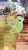 Vintage Mid-Century Translucent Green Lucite Ice Bucket Bottle CoolerTree Frog Handles For Sale - Image 4 of 5