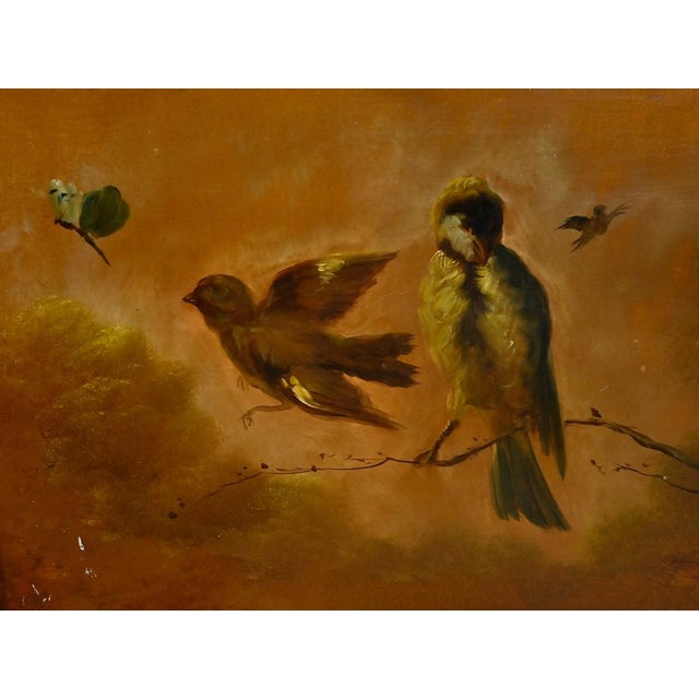 1st Part 20th Century Louis XV Transition Mahogany Display Case For Sale - Image 12 of 18