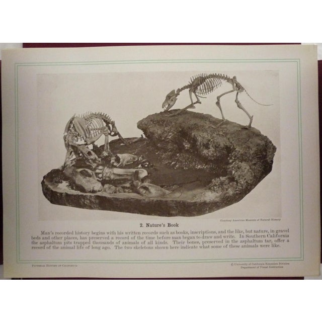 Early 20th Century Burgundy Book, Owen Coy's Pictorial History of California For Sale In San Francisco - Image 6 of 13