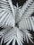 Wonderful Large Italian Vintage Tole Metal Palm For Sale In New York - Image 6 of 7