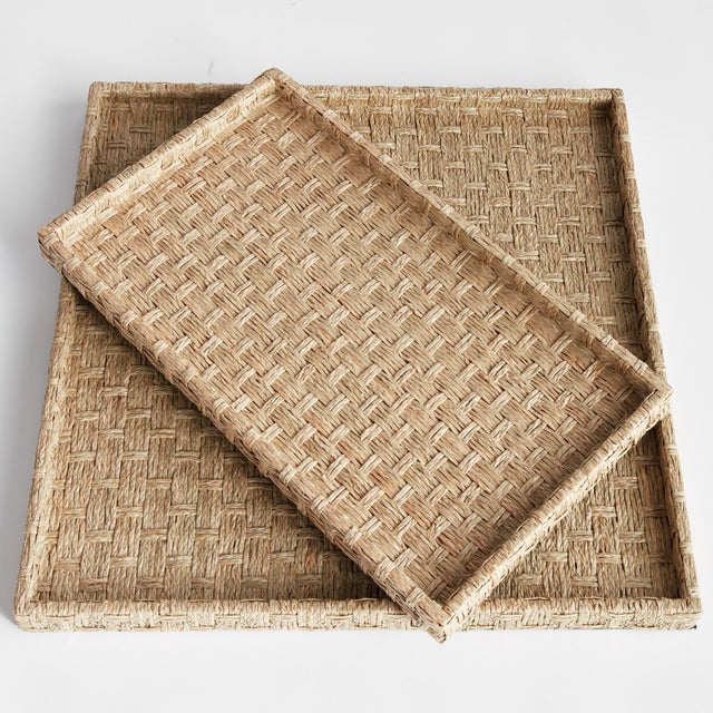 Early 21st Century Wynn Trays Large, Set Of 2 For Sale - Image 5 of 8