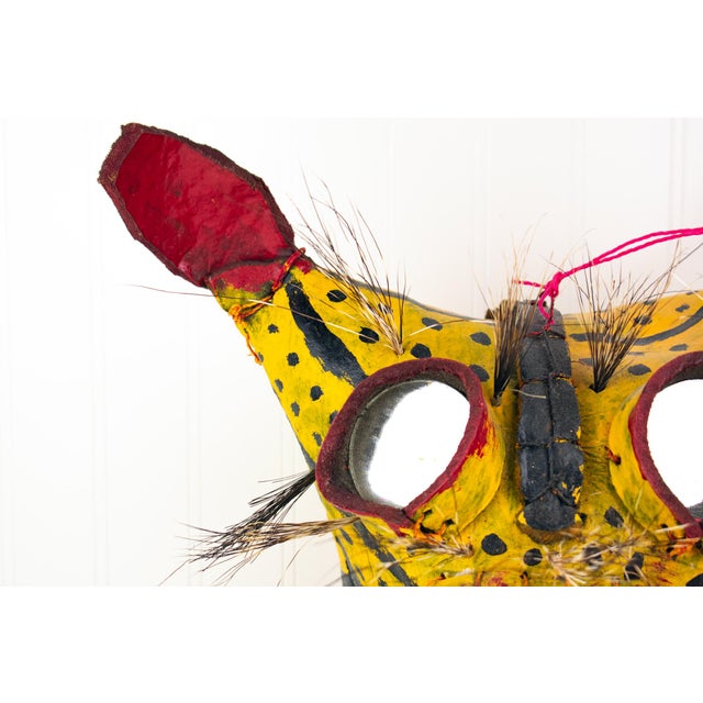 Mexican Mid 20th Century Ceremonial Leather Tiger / Jaguar Mask From Guerrero, Mexico For Sale - Image 3 of 17