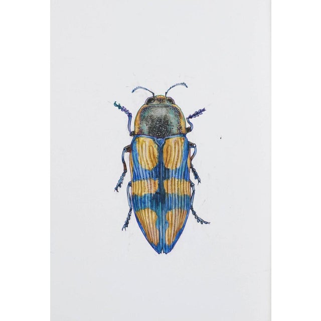 Juris Utans, Ocher-Blue Peace Beetle, 2021, Mixed Media and Paper For Sale - Image 3 of 3
