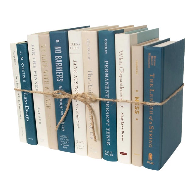 Decorative Books - Northern Shore Book Bundle - 1 Foot of Blue Books For Sale