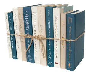 Decorative Books - Northern Shore Book Bundle - 1 Foot of Blue Books