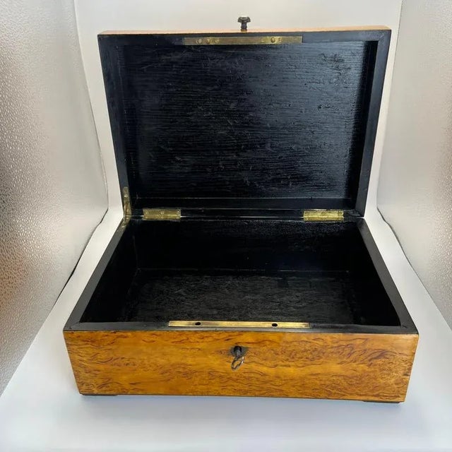 Biedermeier Box in Ice Birch and Brass, Germany, 1840s For Sale - Image 10 of 18