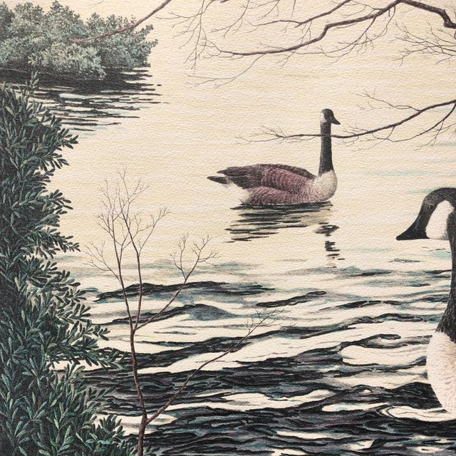 1980s American Landscape Portrait "Canadian Goose" Lithograph Signed by Helen Rundell For Sale - Image 5 of 9