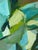 Large Abstract Painting in Blues and Greens For Sale - Image 4 of 5
