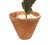 Vintage Potted Tole Red Poppy Flower / Floral Arrangement by Artist Helen Hornberger in an Antique Terracotta Pot For Sale In Dallas - Image 6 of 9