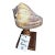 Celestial Meets the Sea Wooden Candlestick Topped With Shell-Coastal Art Sculpture For Sale