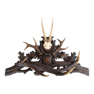 19th Century Black Forest Antlers Trophy Mount Mantel Wall Plaque For Sale