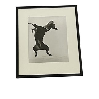 1996 "Mickey" Silver Gelatin Print by Herb Ritts, Framed For Sale