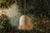 Mitzi Mitzi Sheri 15.75 in. 1 Light Pendant in Aged Brass Finish For Sale - Image 4 of 16