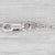 New 0.45ctw Diamond Flower Pendant 14k White Gold Cable Chain 17-19" Adjustable For Sale In Greensboro - Image 6 of 6