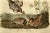 Audubon "Pinnated Grouse", an Original Audubon Hand-Colored First Edition Lithograph, 1840 For Sale - Image 4 of 5