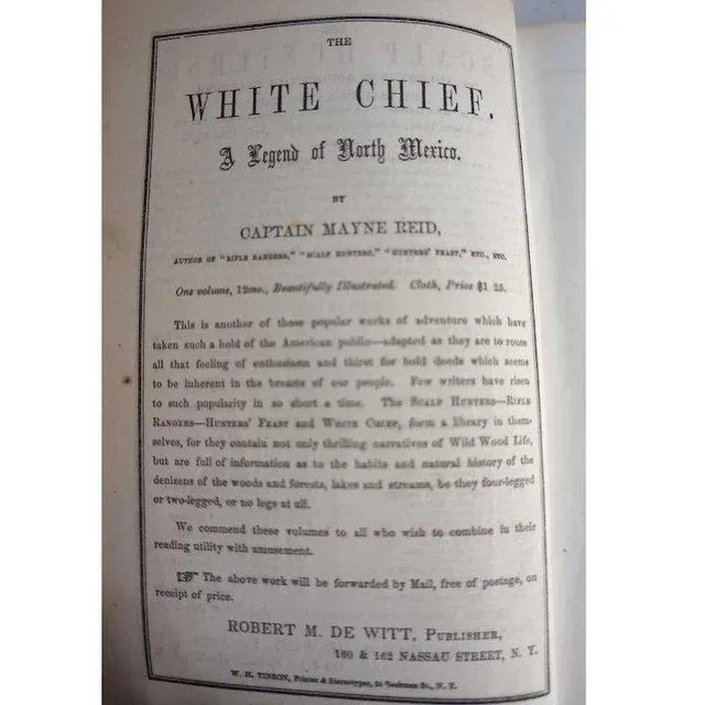 19th Century The Quadroon; or A Lover's Adventures in Louisiana by Captain Thomas Mayne Reid Book For Sale In Denver - Image 6 of 8