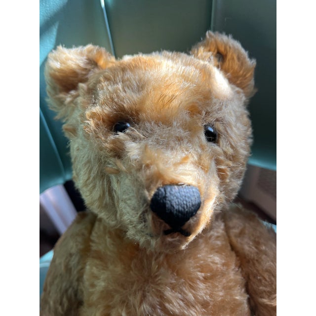1940s Steiff Bear, Made in Germany For Sale - Image 4 of 12
