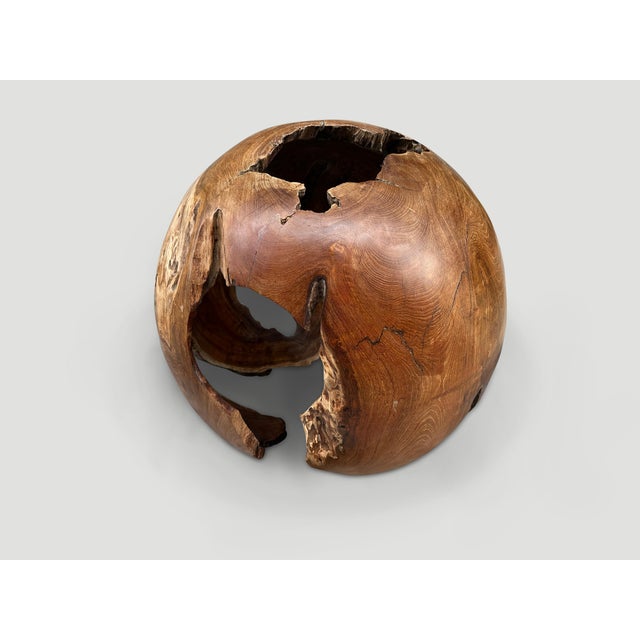 Brown Andrianna Shamaris Hollowed Out Teak Wood Organic Sphere For Sale - Image 8 of 18