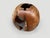 Brown Andrianna Shamaris Hollowed Out Teak Wood Organic Sphere For Sale - Image 8 of 18