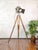 Hollywood Keg Light Floor Lamp with Fresnel Lens from Bardwell McAlister, 1950s For Sale - Image 6 of 18