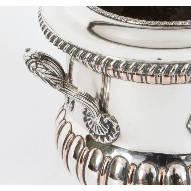 Antique English Wine Coolers, Set of 2 For Sale - Image 9 of 14