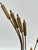 Mid-Century Modern Mid-Century Modern Brutalist Curtis Jere Style Brass Cattails Sculpture For Sale - Image 3 of 8