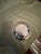 Lunt Silver Vintage Silver-Plated Hollowware Small Dish by Lunt Silversmith, Mid-20th Century For Sale - Image 4 of 6