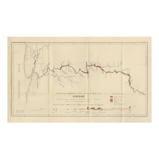 Antique Geological Survey Map of Surinam, 1888 For Sale