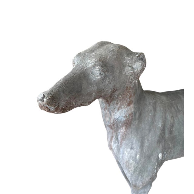 Antique English Cast Lead Life / Full Size Standing Greyhound / Whippet Garden Statue / Sculpture, Circa Early 20th Century For Sale - Image 4 of 5