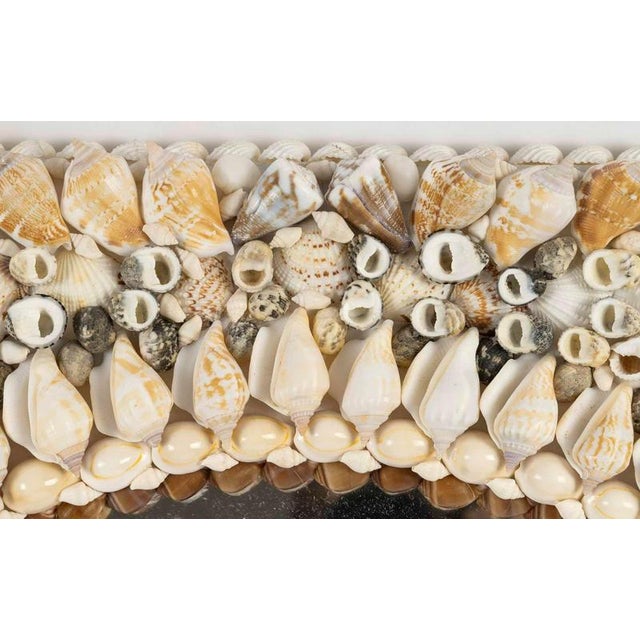20th Century Shell Mirror For Sale - Image 6 of 9