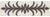 Sample - Schumacher X Celerie Kemble Acanthus Tape in Basalt For Sale