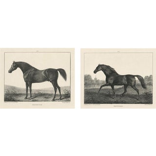 After Chalon, Volunteer & Selim Thoroughbred Horses, Lithographs, 1840, Set of 2 For Sale