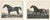 After Chalon, Volunteer & Selim Thoroughbred Horses, Lithographs, 1840, Set of 2 For Sale